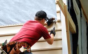 Best Fascia and Soffit Installation  in Van Meter, IA